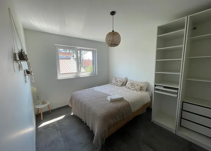 Colmar Terrasse 10min Centre Apartmán Widensolen