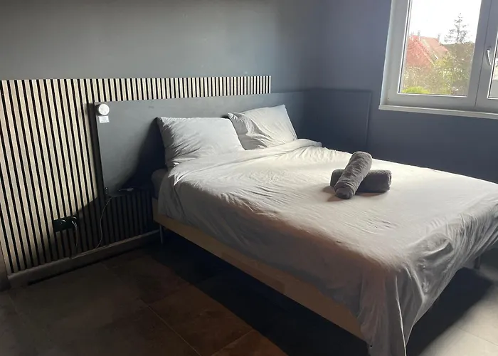 Colmar Terrasse 10min Centre Widensolen